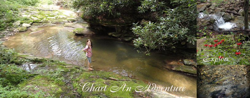 Explore the Area
